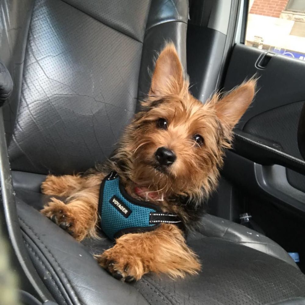 Meet your Posher, Marisol